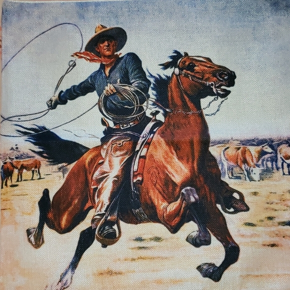 Horse Pillow Case. Western Cowboy Country. Ranch - Picture 13 of 13